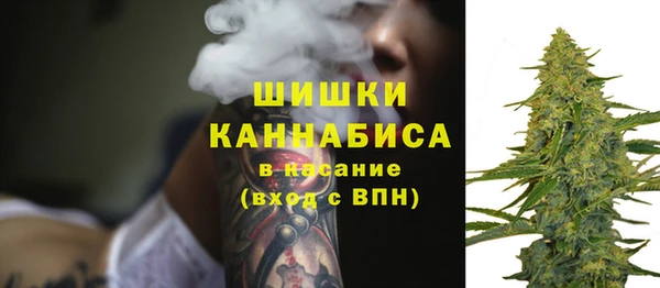 СК Горнозаводск