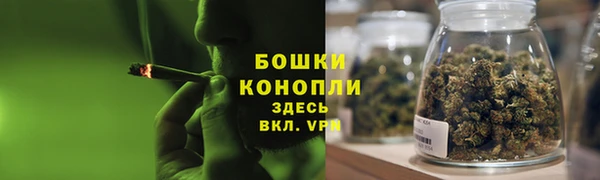 ешки Горняк